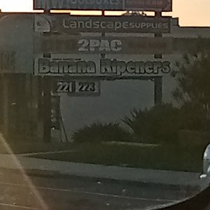 quick cash grab 