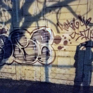 freestyle