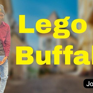 Le go Le go buffalo