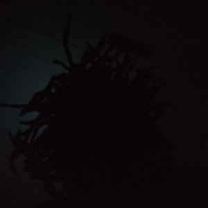 Headofhotsteam
