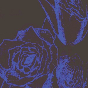 Track of :