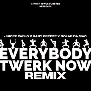 Everybody Twerk Now ft solardamac