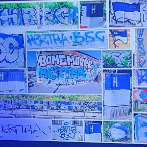 Hertha BSC Meine Farben mein Verein 