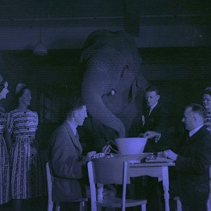 nobody - XXX-elephant in the room cover