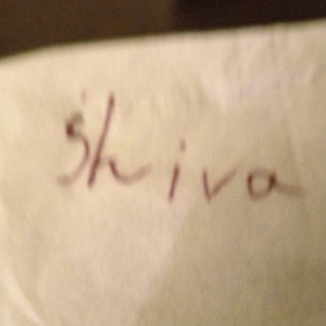 shiva Flow 