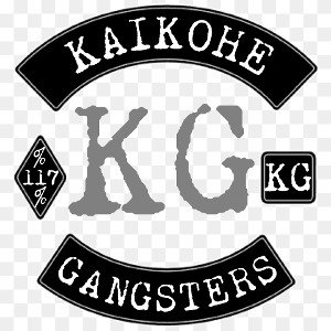 KAIKOHEHOODFTBUDc