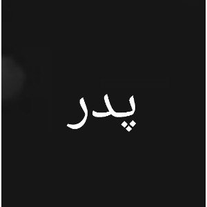 پدر(father )