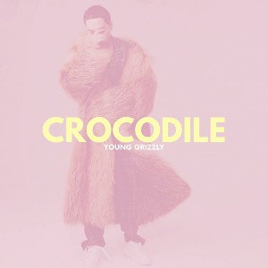Crocodile (19:08:01) (Bass Boost)