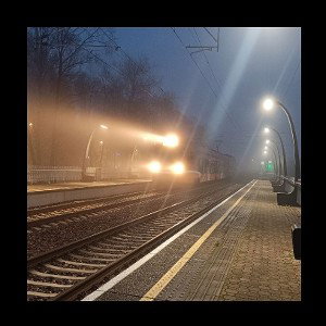 End In Death (Life Choices) by King II