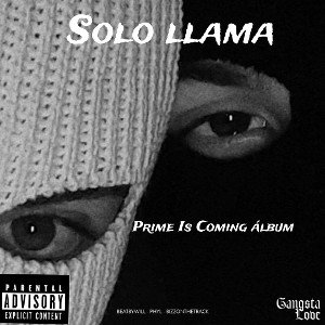 SOLO LLAMA 