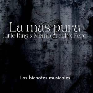 la más pura (little king x fero)
