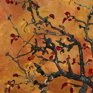 this is what autumn feels like