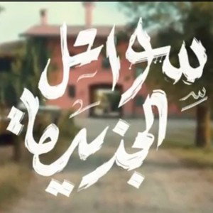 🔥 سواحل الجزيرة  🤬