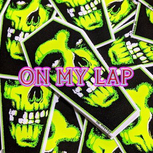 on my lap
