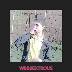 WBB2EXTROUS