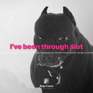I’ve been through a lot 