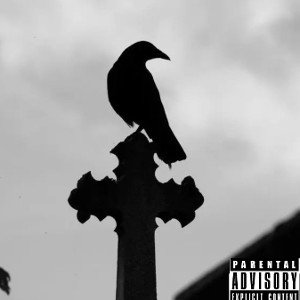 I write songs