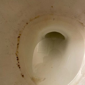 about ditty’s nasty house