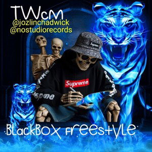 Blackbox freestyle