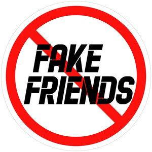 FAKE FRIENDS 