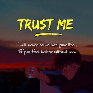 WHY SHOULD I TRUST YOU