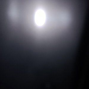 Half Past Alive