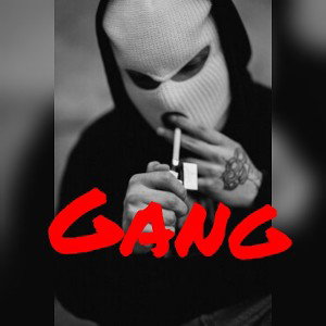 Fanatic&Vlad D - Gang member (prod.111%)