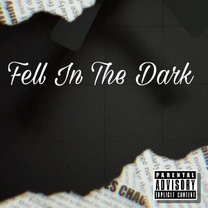 Fell In The Dark