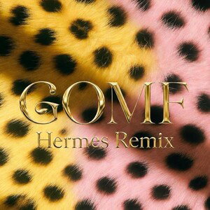 GOMF HERMES REMIX