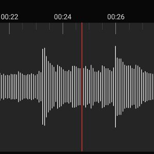 Raw Sounds of...(FS)