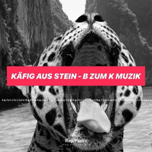 Käfig aus Stein - B zum K Muzik