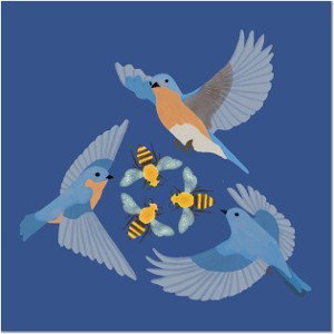 Birds & Bees FT: Graven