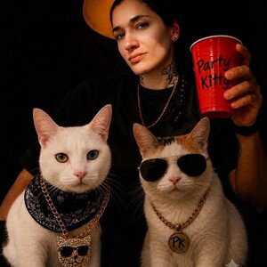 party-kitty 4