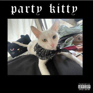 party-kitty