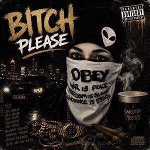 bitch-please