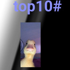 top*#-pā5œ.t