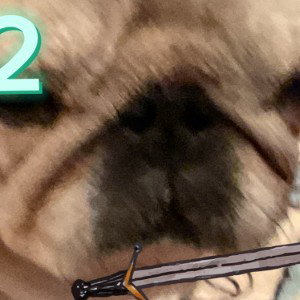 mean pug 2