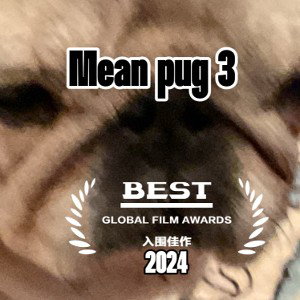 mean pug 3