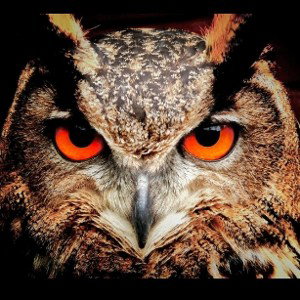 KeI'm ready for the rumba (😎👍🏻party    (13:45)