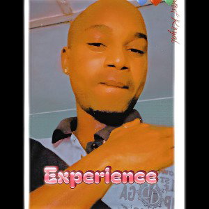 Experience 