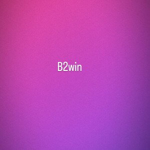 b2win(born to win)