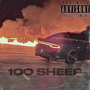 100 sheep 🐑