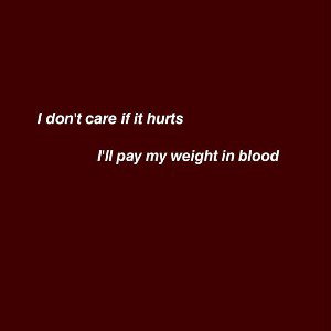 I'm sorry 