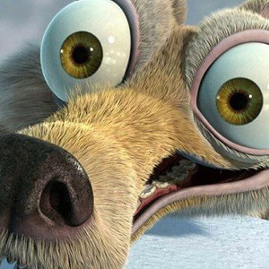 adog 