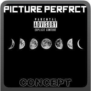 Picture Perfect 