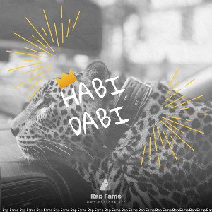 Habi Dabi 