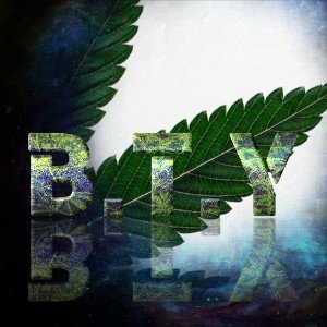 BTY - My Minds Matrix 
