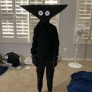 ALIEN ABDUCTION