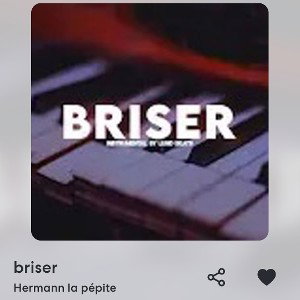 Hermann la pépite - briser 2024-01-15 10_35