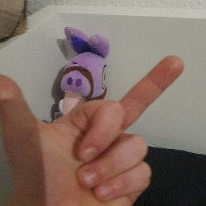 Ihr  h*#*# söhne